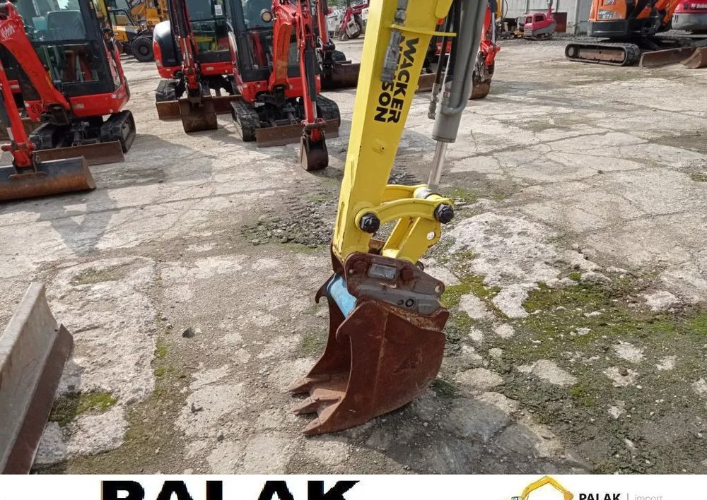 Mini excavator Wacker Neuson Mini koparka WACKER NEUSON 28Z3 RD OTWARTA  2011 rok: picture 11